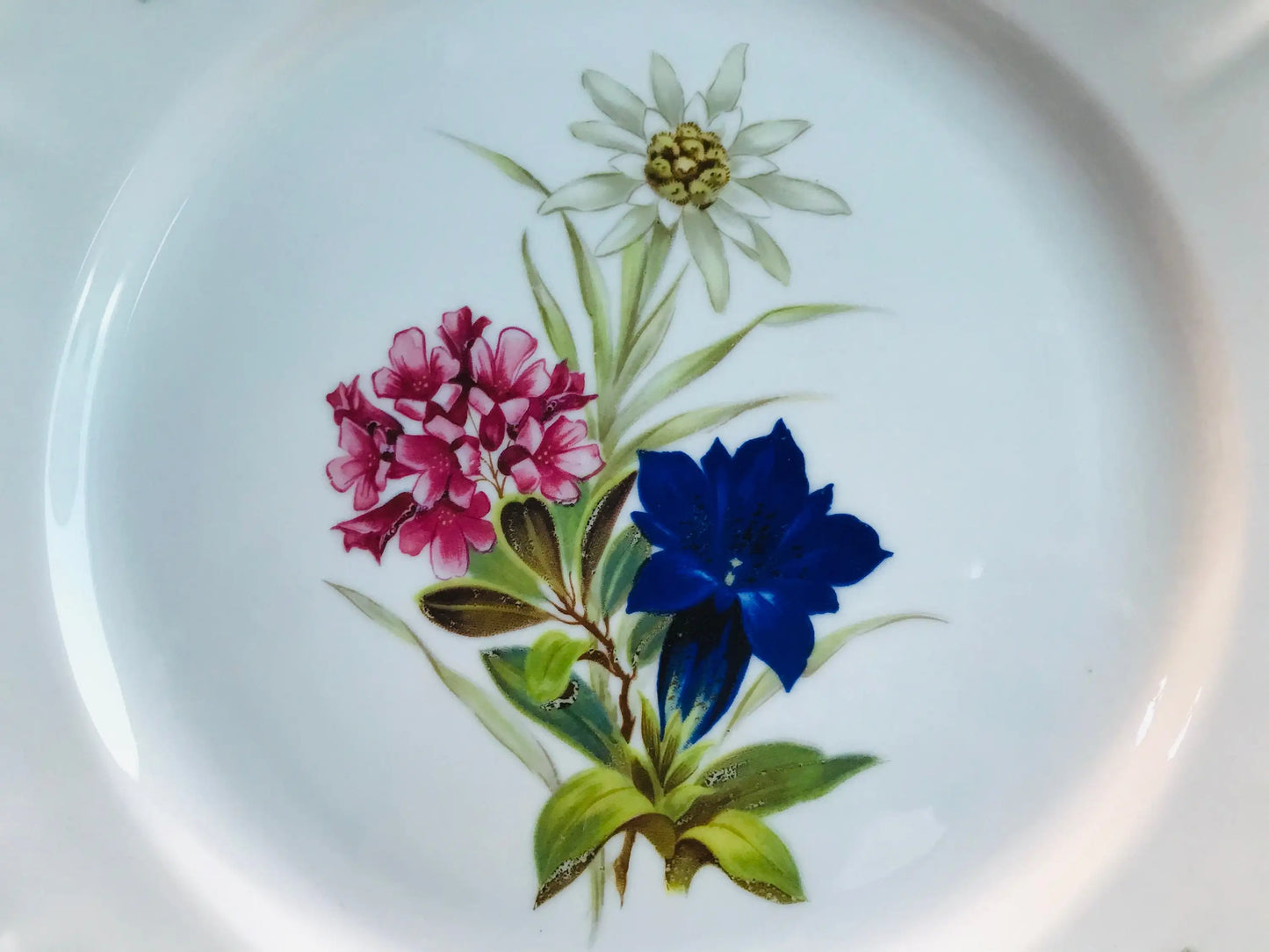 Bavari  Lavish premium Porcelain Dinnerware dinner Vintage set of 3 Winterling Germany flowers plates